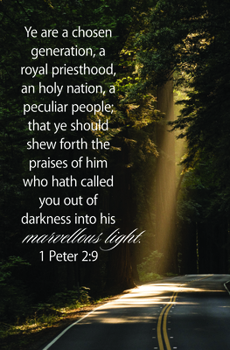 Paperback General Worship Bulletin: A Chosen Generation (Package of 100): 1 Peter 2:9 (Kjv) Book