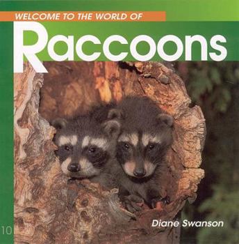 Paperback Welcome to the World of Raccoons Book