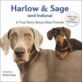 Hardcover Harlow & Sage (and Indiana): A True Story about Best Friends Book