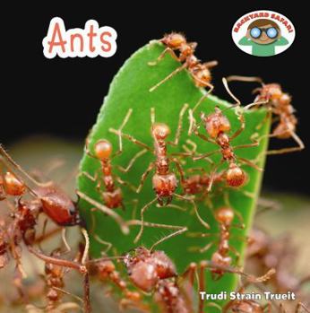 Ants - Book  of the Backyard Safari