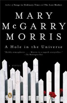 Paperback A Hole in the Universe Book