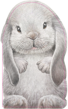 Board book Furry Bunny Book