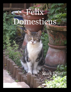 Paperback Felix Domesticus Book