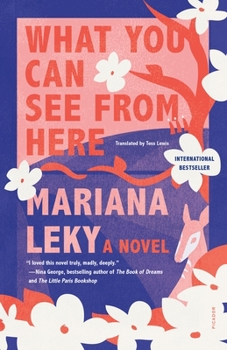 Paperback What You Can See from Here Book