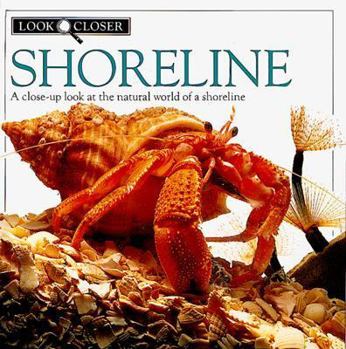 Hardcover Shoreline (Look Closer) Book