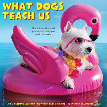 Calendar What Dogs Teach Us 2025 12 X 12 Wall Calendar Book