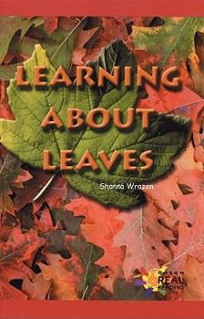 Paperback Learning About Leaves Book