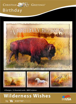 Misc. Boxed Cards - Birthday: Wilderness Wishes Book