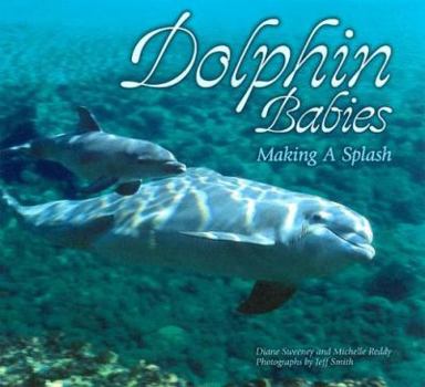 Paperback Dolphin Babies: Making a Splash Book