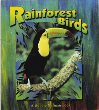 Paperback Rainforest Birds (Birds Up Close) Book