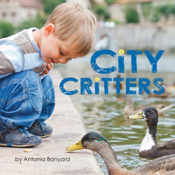 Board book City Critters Book