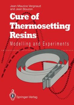 Paperback Cure of Thermosetting Resins: Modelling and Experiments Book