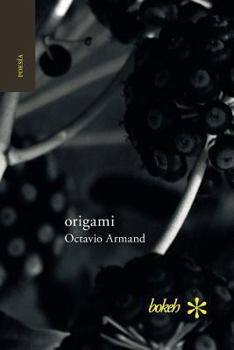 Paperback origami [Spanish] Book