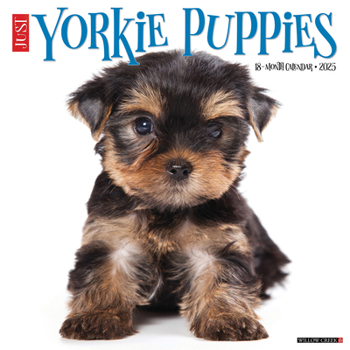 Calendar Just Yorkie Puppies 2025 12 X 12 Wall Calendar Book