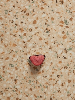 Hardcover Mika Rottenberg Book