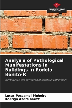 Analysis of Pathological Manifestations in Buildings in Rodeio Bonito-R: Identification and correction of structural pathologies