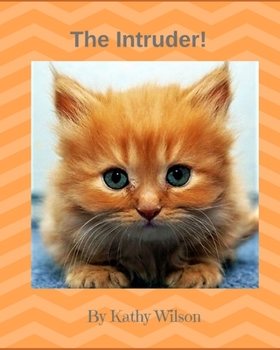 Paperback The Intruder Book