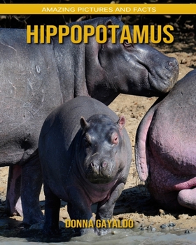 Paperback Hippopotamus: Amazing Pictures and Facts Book