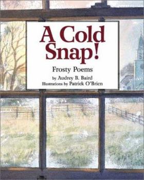 Hardcover A Cold Snap! Book