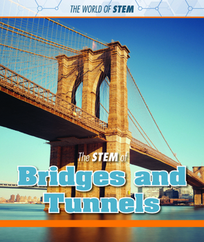 Library Binding The Stem of Bridges and Tunnels Book