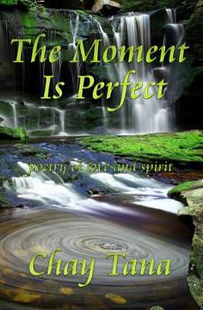 Paperback The Moment Is Perfect Book