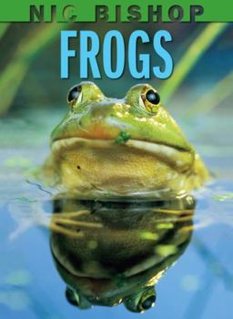 Hardcover Nic Bishop: Frogs Book