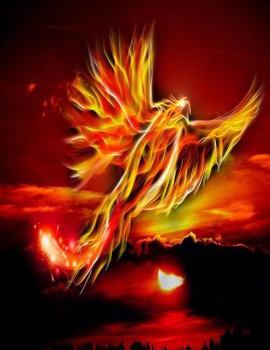 Paperback Phoenix Fire Bird Notebook: 8.5 X 11 202 College Ruled Pages Book