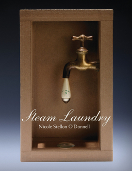 Paperback Steam Laundry Book