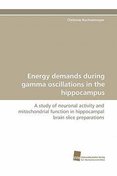 Paperback Energy demands during gamma oscillations in the hippocampus Book