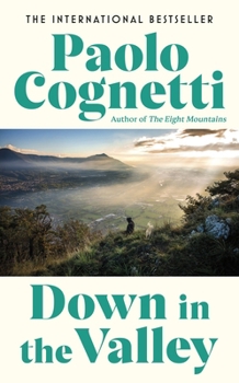 Paperback Harvill Secker Down in the Valley. Book