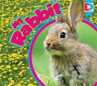 Mi Conejo / My Rabbit - Book  of the Eyediscover Spanish