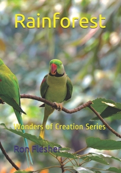 Paperback Rainforest: Wonders of Creation Series Book