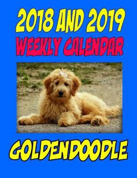 Paperback 2018 and 2019 Weekly Calendar Goldendoodle: Two Year Calendar, Birthday, Personal Info and more Book