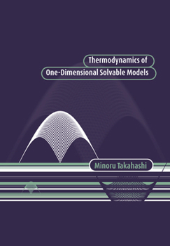 Paperback Thermodynamics of One-Dimensional Solvable Models Book