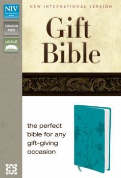Imitation Leather Holy Bible NIV Italian Turquoise Duo-Tone (both new an old testaments) Book