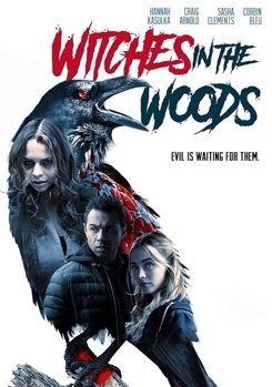DVD Witches In The Woods Book