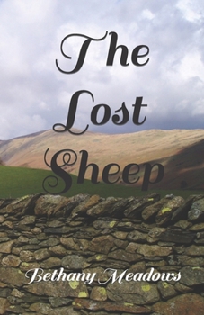 Paperback The Lost Sheep Book