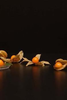 Paperback Gooseberry Notebook Book