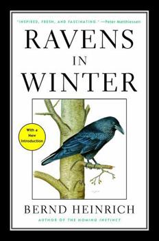 Paperback Ravens in Winter Book