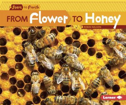 From Flower to Honey (Start to Finish) - Book  of the Start to Finish, Second Series