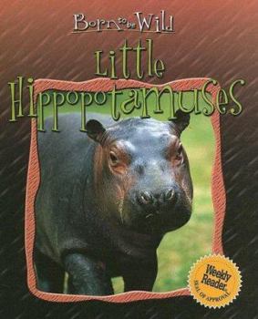Little Hippopotamuses (Born to Be Wild) - Book  of the Born to be Wild