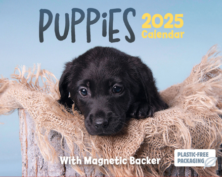 Calendar 2025 Puppies Mini Boxed Calendar: Plastic Free Packaging Book