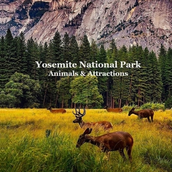 Paperback Yosemite National Park Animals & Attractions Kids Book: Great Way for Kids to See the Animals and Attractions in Yosemite National Park Book