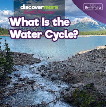 Library Binding What Is the Water Cycle? Book