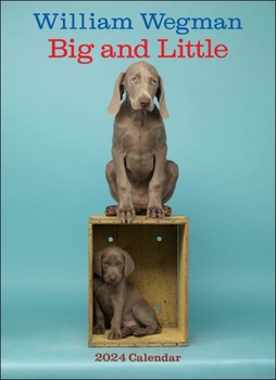 Calendar William Wegman Big and Little 2024 Wall Calendar Book