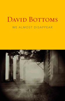 Paperback We Almost Disappear Book