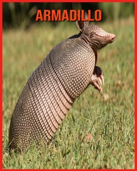 Paperback Armadillo: Incredible Pictures and Fun Facts about Armadillo Book