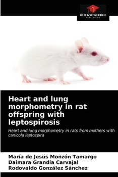 Paperback Heart and lung morphometry in rat offspring with leptospirosis Book