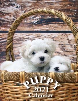 Paperback Puppy 2021 Calendar Book