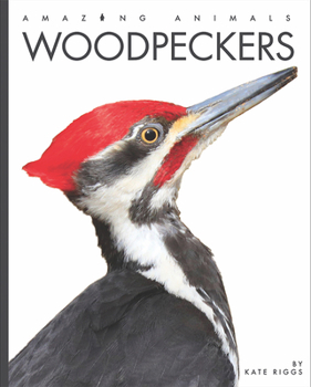 Woodpeckers - Book  of the Amazing Animals